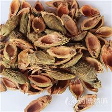 大腹皮——进口硬壳