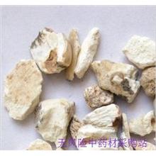 白龙齿