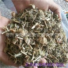 灯笼草