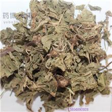 车前草