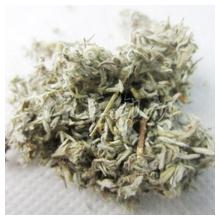 茵陈
