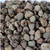 覆盆子 统货 大货 质优 益肾 固精 缩尿