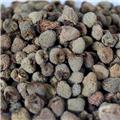 覆盆子 统货 大货 质优 益肾 固精 缩尿