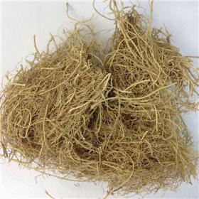辽细辛 片 质优价廉 散寒祛风 止痛 温肺化饮