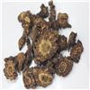 羌活 片子 质优 大货 散寒祛风 除湿止痛