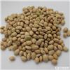 白扁豆 各种规格 质优 健脾化湿 和中消暑