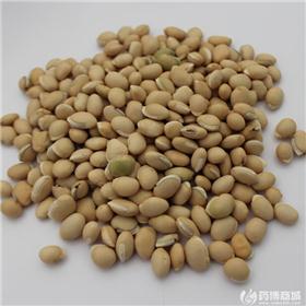 白扁豆 各种规格 质优 健脾化湿 和中消暑