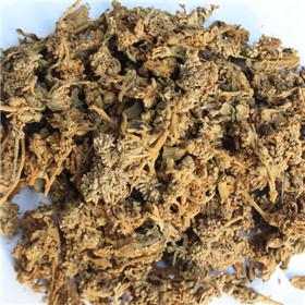 密蒙花（陕西） 祛风 凉血 润肝 明目