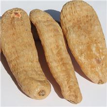 天麻 个子 质优价廉..