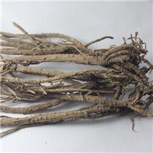 柴胡 个子 优质大货..