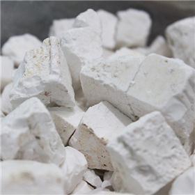 天竺黄 天竹黄 竹黄