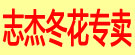 志杰冬花专卖
