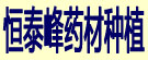 恒泰峰药材种植公司