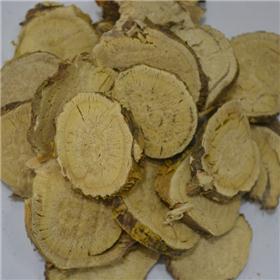 苦参 优质大货 清热燥湿 杀虫 利尿