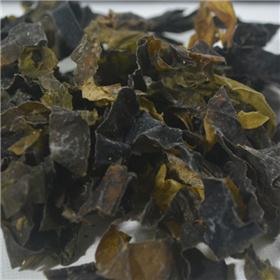 昆布 统装货 山东 各种规格 软坚散结 消痰 利水