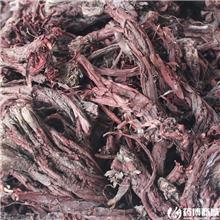 紫草 个子 新疆