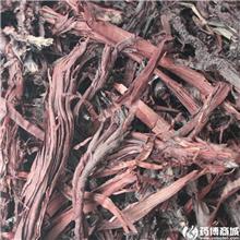 紫草 进口软紫草