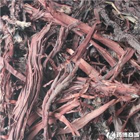 紫草 进口软紫草
