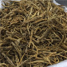 秦艽 内蒙甘肃 大货 祛风湿 舒筋络 清虚热