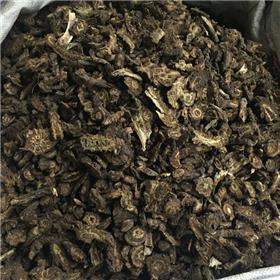 羌活 优质大货 散寒 祛风 除湿 止痛