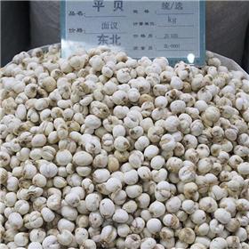 贝母 优质大货 清热润肺 化痰止咳 散结消肿