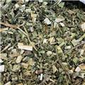 益母草 优质大货 活血调经 利尿消肿