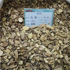 乌药 优质大货 行气 散寒 止痛