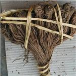 当归把子（甘肃）