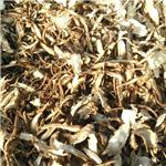 当归片（甘肃）