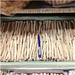 党参节子  甘肃原产..