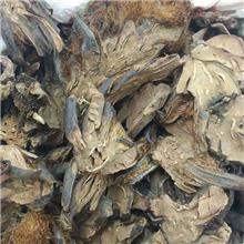 贯众 质优价廉 大货..