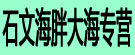 石文海胖大海专营