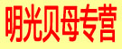 明光贝母专营