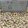 平贝 优质大货 清热润肺 化痰止咳