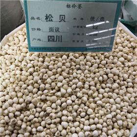 松贝 优质大货 清热润肺 化痰止咳