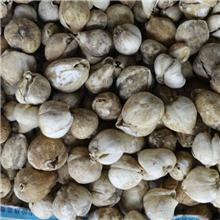 平贝 优质大货 清热..