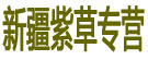 新疆紫草专营