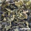 昆布 各种规格 软坚散结 消痰 利水