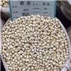 松贝 优质大货 清热润肺 化痰止咳