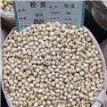 松贝 优质大货 清热润肺 化痰止咳