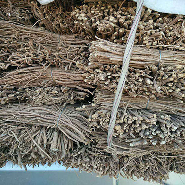 黄芪药厂统货