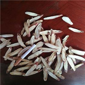 甘草柳叶片0.8以上