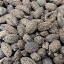 砂仁 优质大货 化湿..