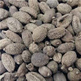 砂仁 优质大货 化湿行气 温脾止泻 安胎