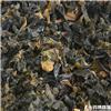 昆布 大货供应