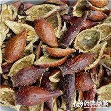 金樱子 优质大货 固..