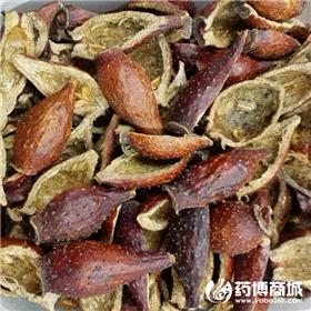 金樱子 优质大货 固精缩尿 涩肠止泻