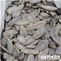 郁金 优质大货 行气化瘀 清心解郁