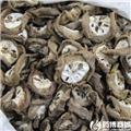 八月札 优质大货 疏肝和胃 活血止痛