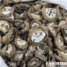 八月札 优质大货 疏..
